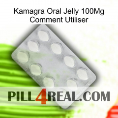 Kamagra Oral Jelly 100Mg How To Use 16